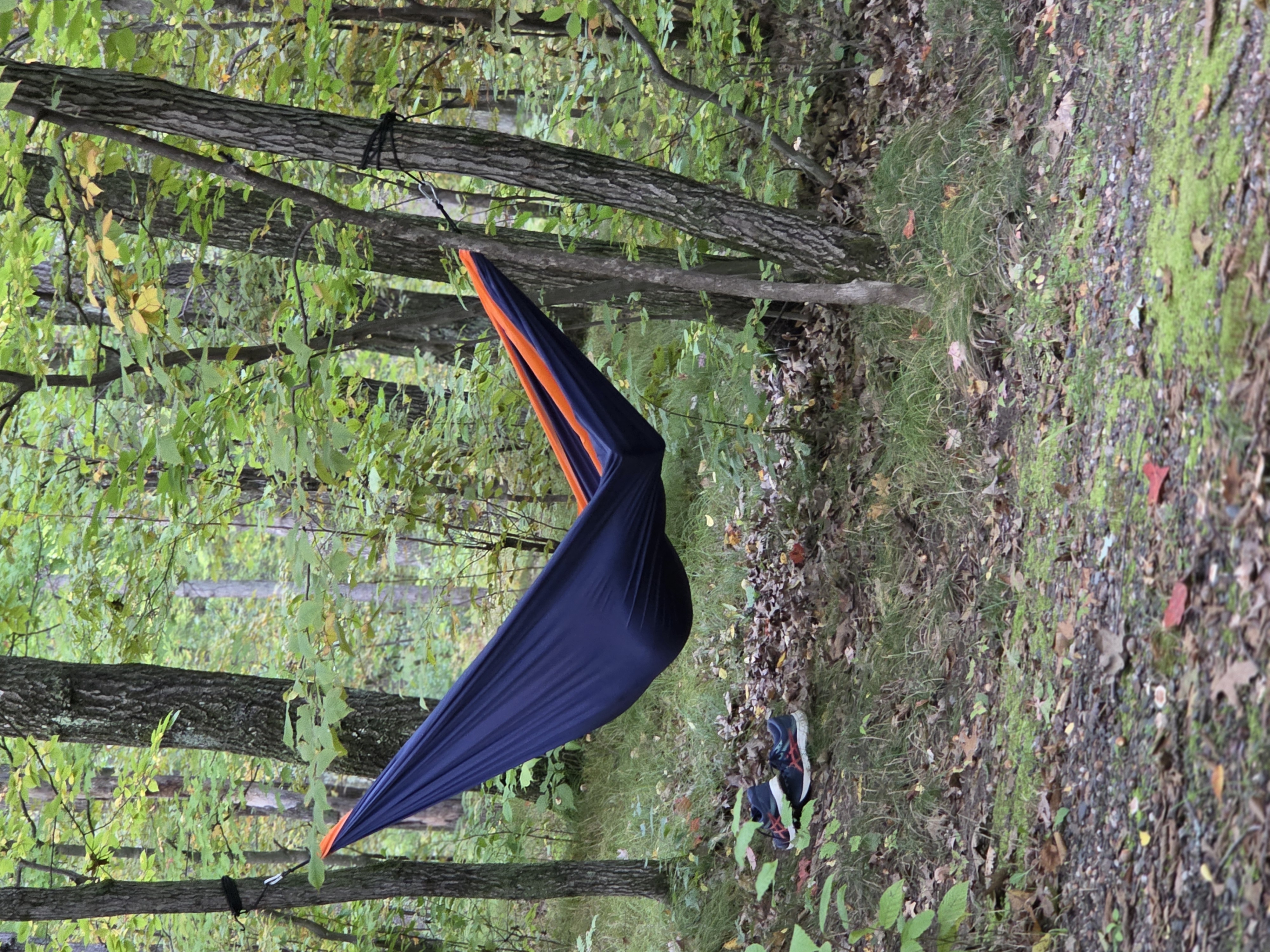 Hammock